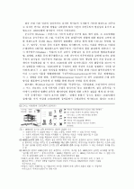 디자인 과정을 통한 패러다임과 디자인 언어와의 전이(은유/유추) 5페이지