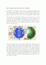 대기대순환의 형성 및 구조 1페이지