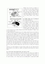 물의 물리학적 특성 4페이지