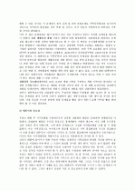 세종시논란에 대하여A+ 3페이지