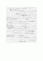 양이온 정성분석(I족)-A급 6페이지