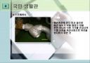 배관 및 밸브 22페이지