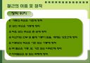 철근콘크리트 12페이지