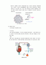 혼합물(mixture) 분리하기 실험 3페이지