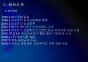 [네네치킨]네네치킨 성공요인 분석 PPT자료 6페이지