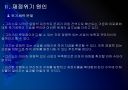 [재정적자]유럽 재정적자 문제점과 해결방안 PPT자료 9페이지