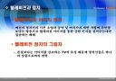 대중매체 텔레비전과 정치  4페이지