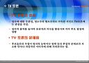 대중매체 텔레비전과 정치  8페이지