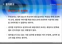 대중매체 텔레비전과 정치  11페이지