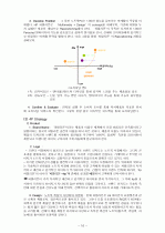 노트북 시장분석과 HP- 파빌리온 노트북 마케팅 전략 16페이지