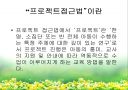 프로젝트 접근법 3페이지