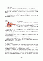 간, 담도, 췌장의 구조 4페이지
