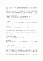 피아제의 인지발달이론 분석 6페이지