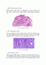 자궁내막 및 기타 생식기의 주기적 변화 2페이지