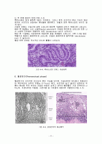 자궁내막 및 기타 생식기의 주기적 변화 3페이지