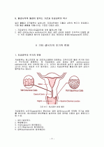자궁내막 및 기타 생식기의 주기적 변화 5페이지