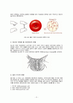 자궁내막 및 기타 생식기의 주기적 변화 6페이지