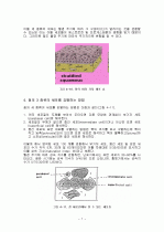 자궁내막 및 기타 생식기의 주기적 변화 7페이지