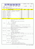 (어린이집)보육실습일지/보육일지/영유아 보육일지-4월 5주차  1페이지