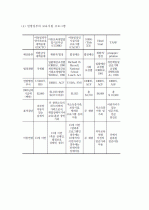 (A+ 레포트) 미국의 보육정책 5페이지