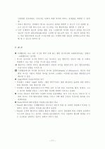 다문화 협상 - 이중렌즈 모형 11페이지
