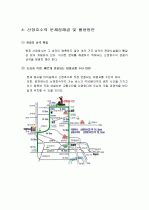 산정호수의 관광자원으로서의 장기적활용방안 10페이지