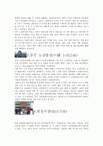 이우시장조사  7페이지