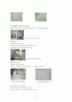 생태유아 교육  17페이지