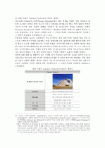 지역주의적 다양성과 현대건축 11페이지