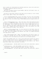 인터넷마케팅과 사례 12페이지