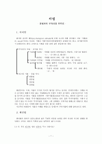 서법 - 중세국어 부차서법 위주로 -  1페이지