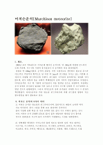 머치슨운석 1페이지