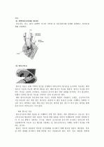 cervical dysplasia(자궁경부이형성증) 케이스 25페이지