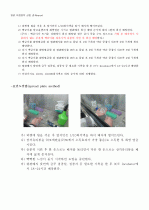 [병원 미생물학 실험] (결과) 토양균 스트리킹(streaking)  6페이지