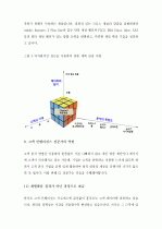 (A+) [마케팅 전략] 고객 분석과 고객 인텔리전스를 통한 맞춤 서비스 전략  12페이지