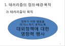 테러리즘의 발생과 대응 (테러리즘의 정의·배경·목적, 테러리즘의 전략과 자금조달, 종류와 사례, 테러리즘으로 인한 비용, 테러리즘 대응과 그에 따른 민주주의 보호, 시사점).ppt 13페이지