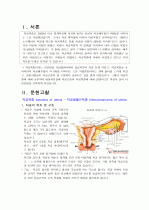 자궁육종 sarcoma of uterus – 자궁평활근육종 Ieiomyosarcoma of 케이스 스터디 Case study 2페이지