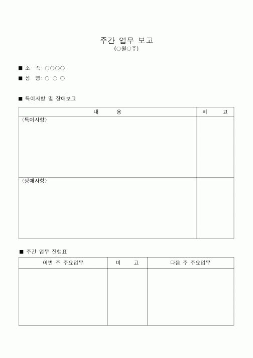 (경영)주간 업무 보고서(3)