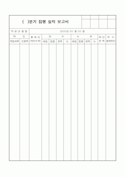 (기타)()분기 집행 실적 보고서