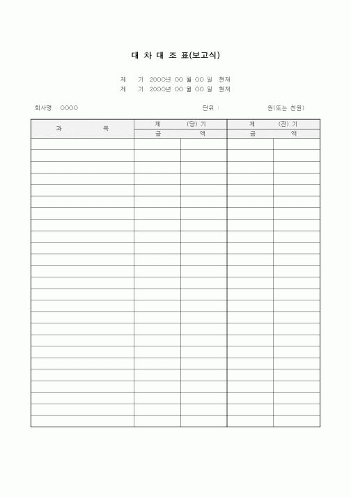 (금전대차)대차대조표(보고식)