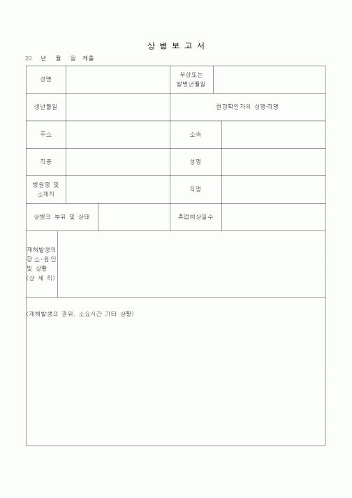 (기타)상병보고서1