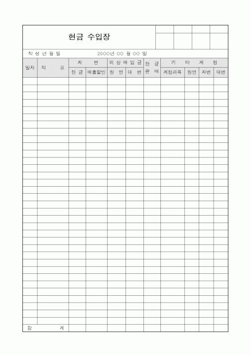 (세무/회계)현금 수입장4