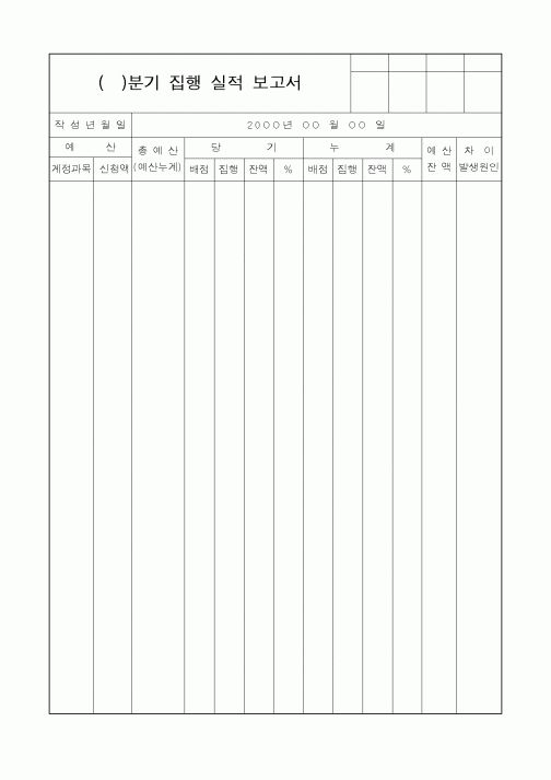 (세무/회계)집행 실적 보고서
