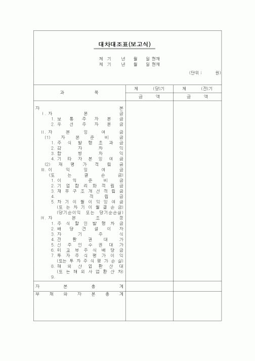 (세무/회계)대차대조표(보고식)(3)