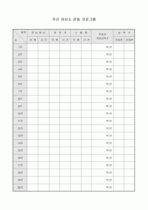 주간 유산소 운동 프로그램