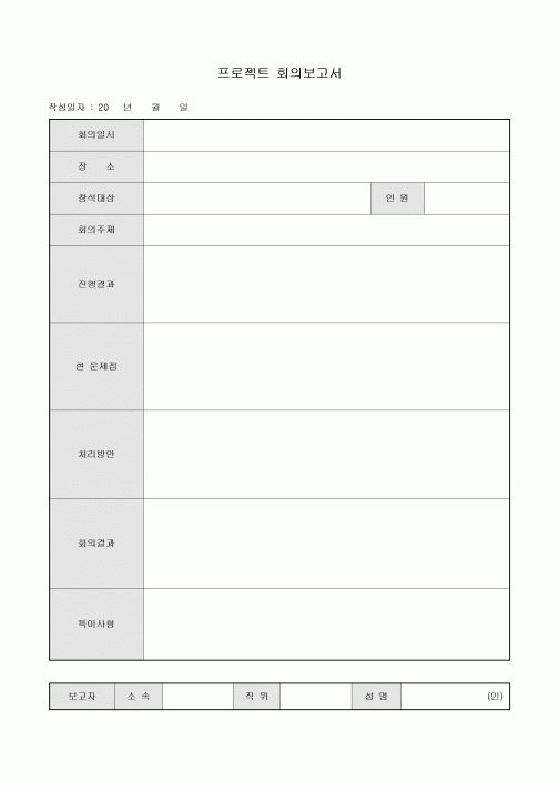 프로젝트 회의 보고서
