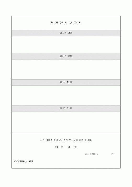 전산감사 보고서