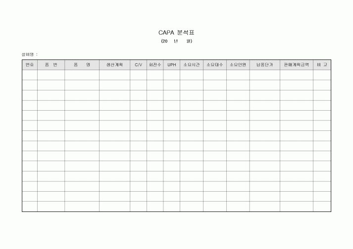 CAPA 분석표