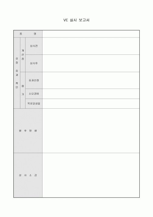VE 실시 보고서