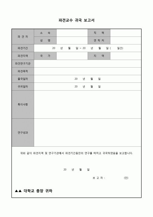 (교수) 파견교수 귀국 보고서(대학)
